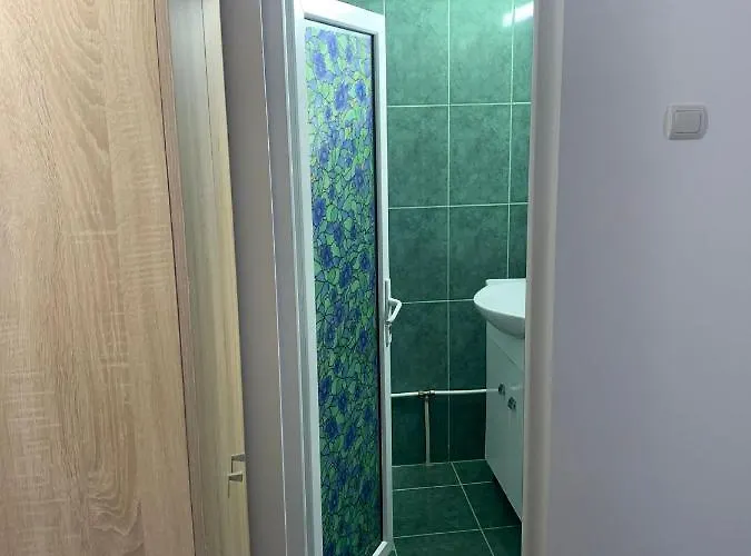 Casa Laurentiu 招待所 艾福雷诺德