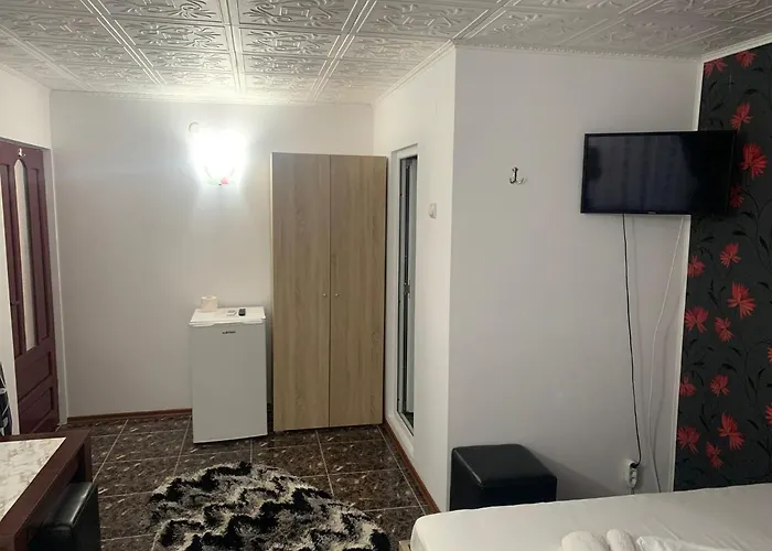 招待所 Casa Laurentiu