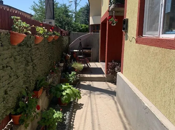 招待所 Casa Laurentiu 3*